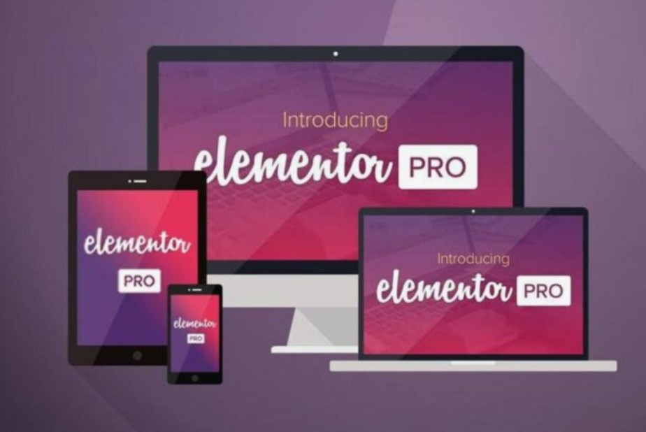 Elementor Pro